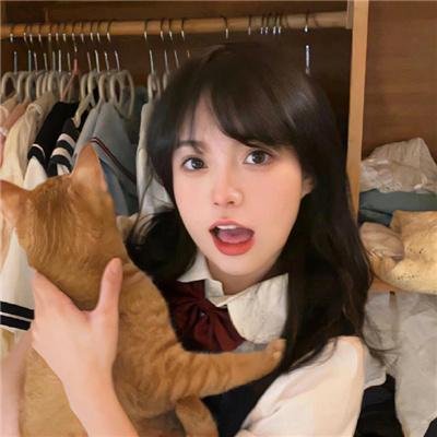国土安全第三季